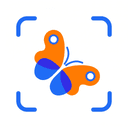 Bug Identifier