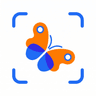 Bug Identifier