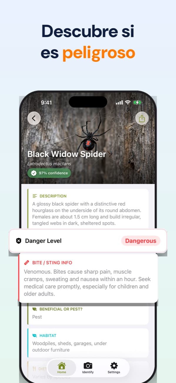 Captura de Bug Identifier: descubre si es peligroso, con el nivel de peligro de la especie