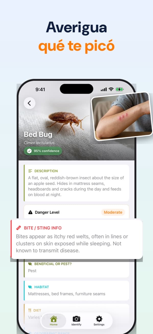 Captura de Bug Identifier: averigua qué te picó, con la ficha de la chinche de cama